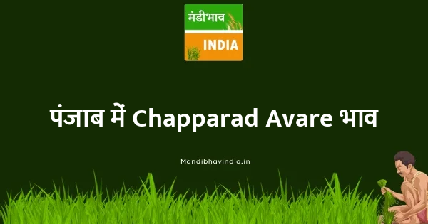 Chapparad Avare भाव